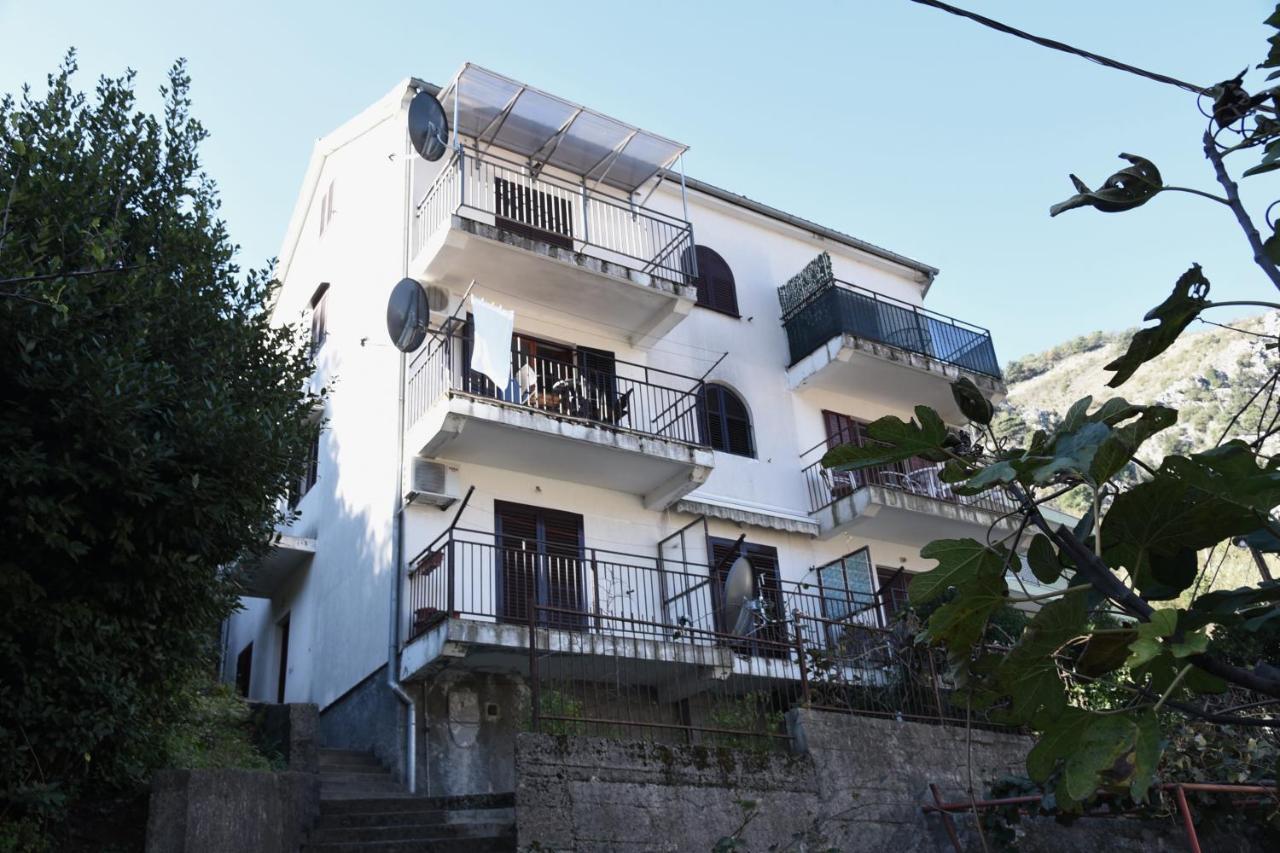 Apartment Lima Kotor Kültér fotó